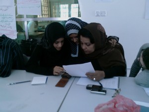 Mobility Team Evaluating Survey Instrument structure